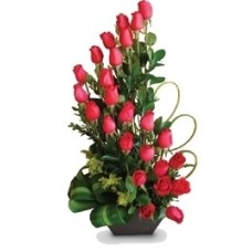 Snail of 25 imported roses